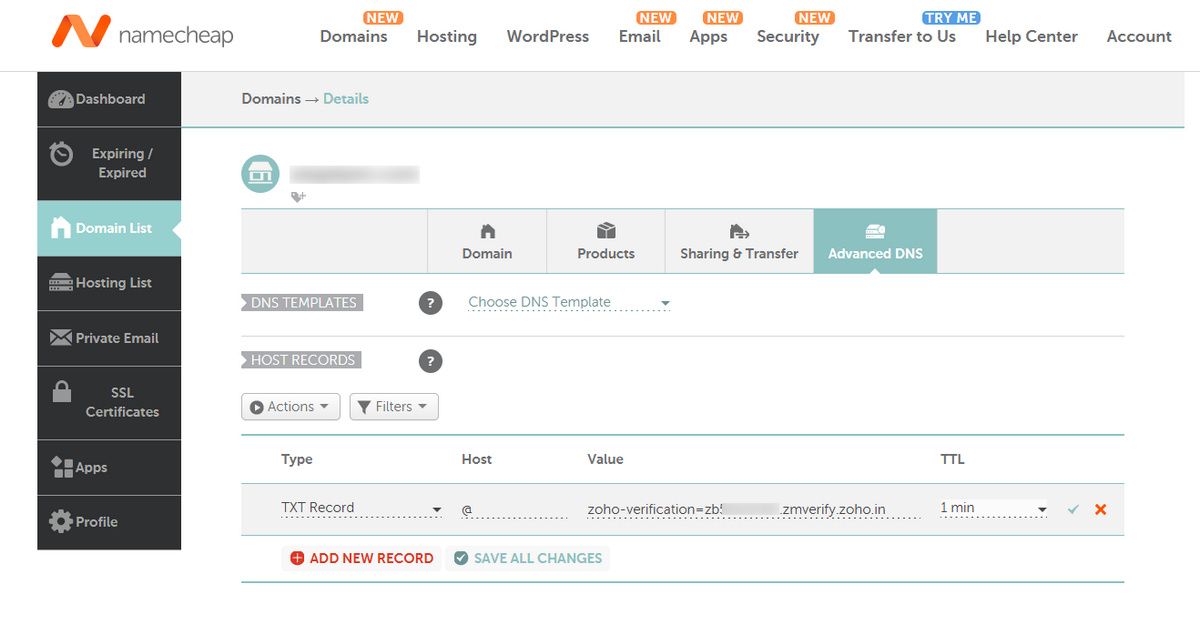 type in the txt record namecheap