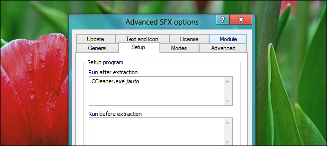 Вкладка Setup: команда запуска CCleaner с ключом /auto