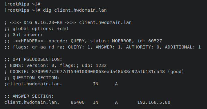 проверка dns записи