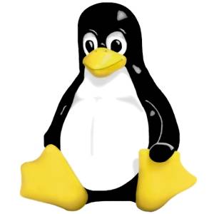 Перенос Linux на новый диск