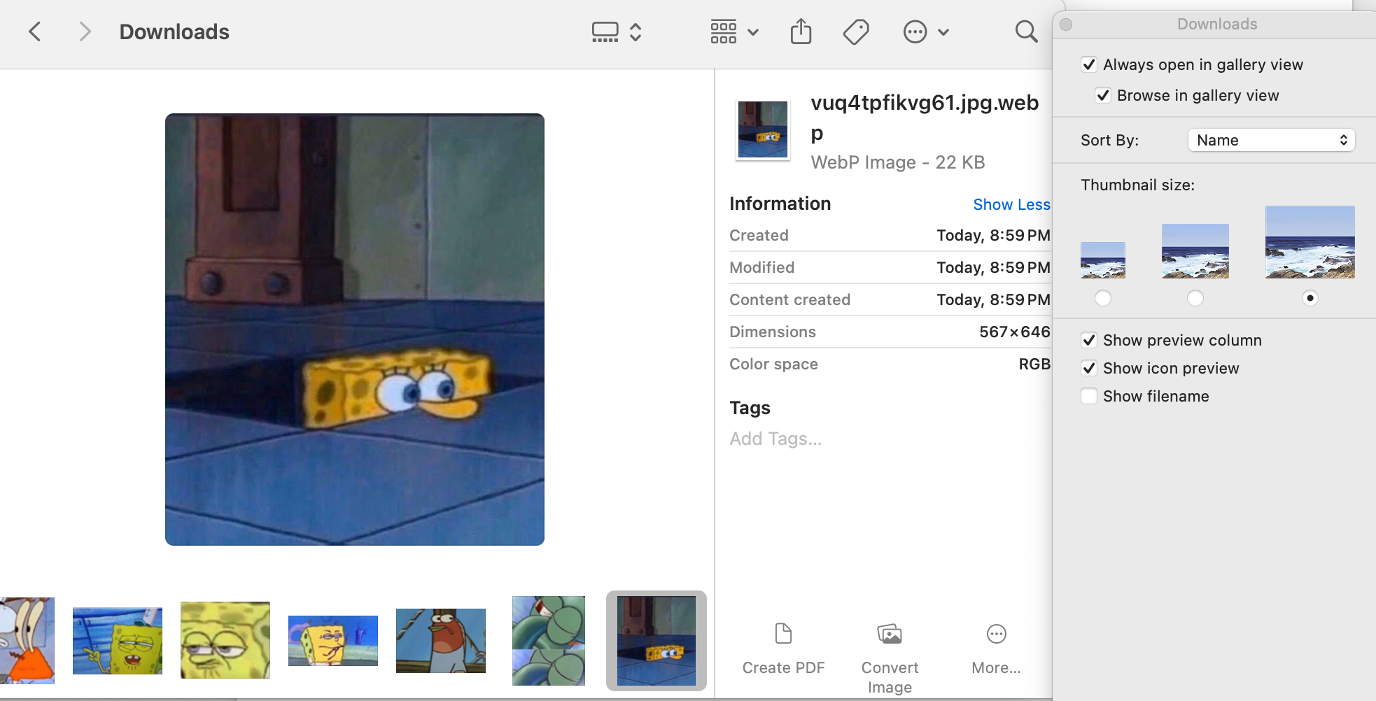 Скриншот галереи файлов в Finder macOS.