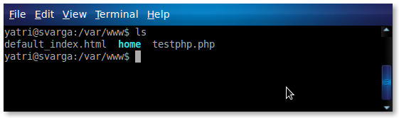 /var/www: файлы веб‑сервера и сайт