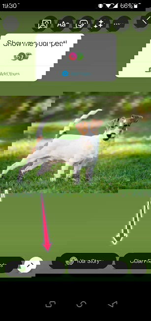 Кнопка публикации Истории с стикером Add Yours