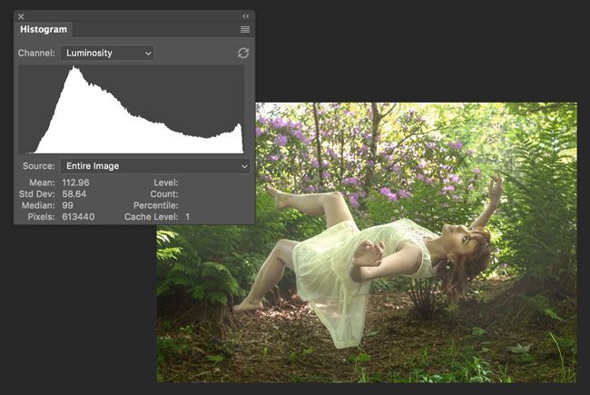 Histogram Overview of an Image