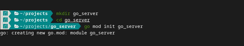 Вывод терминала: команды для создания проекта Go