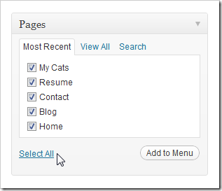 Поле для названия меню в интерфейсе Меню WordPress
