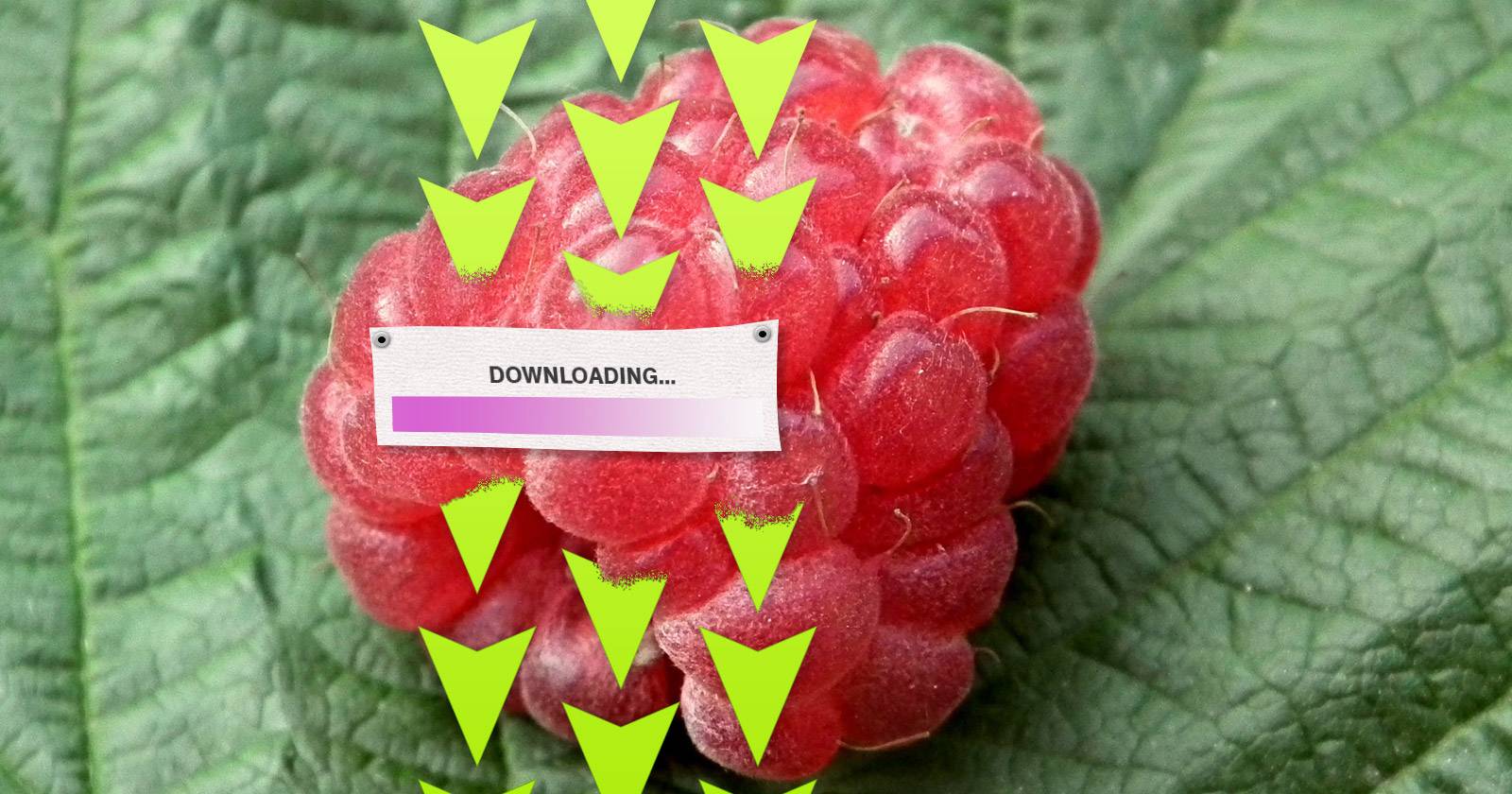 raspberry-downloading
