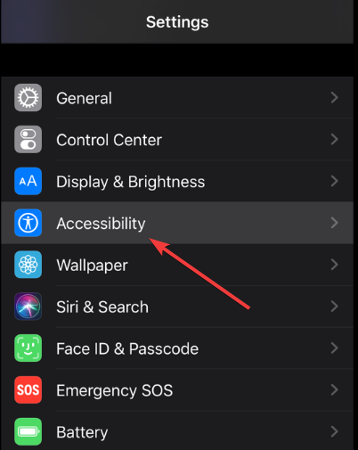 Скриншот: настройки Универсального доступа на iPhone с пунктом RTT