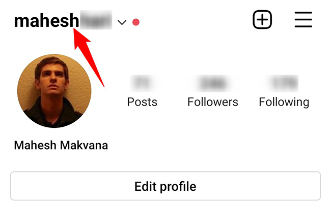 Имя пользователя в заголовке профиля — используйте его для формирования ссылки.