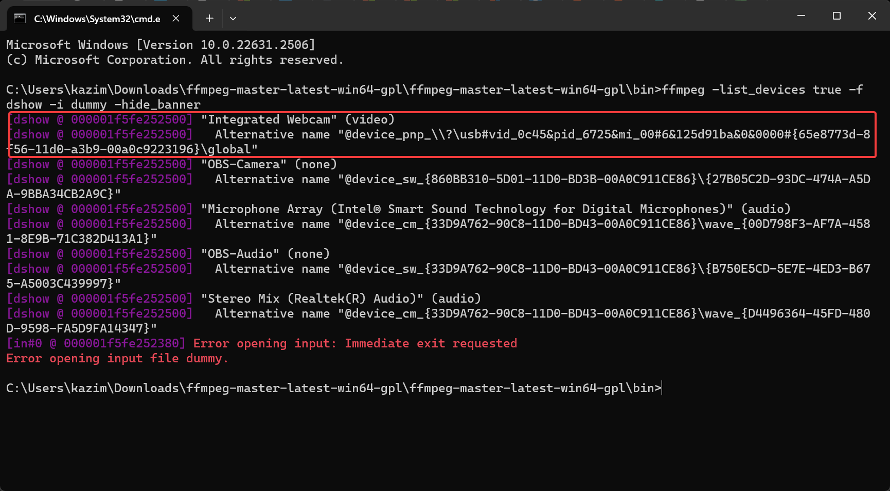 Список устройств DirectShow с отмеченной веб-камерой