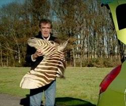 Кадр из видео — пример конечного GIF