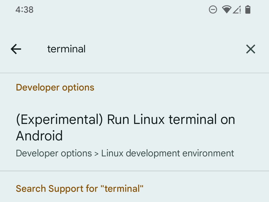Поиск параметра терминала в параметрах разработчика Android на Pixel.